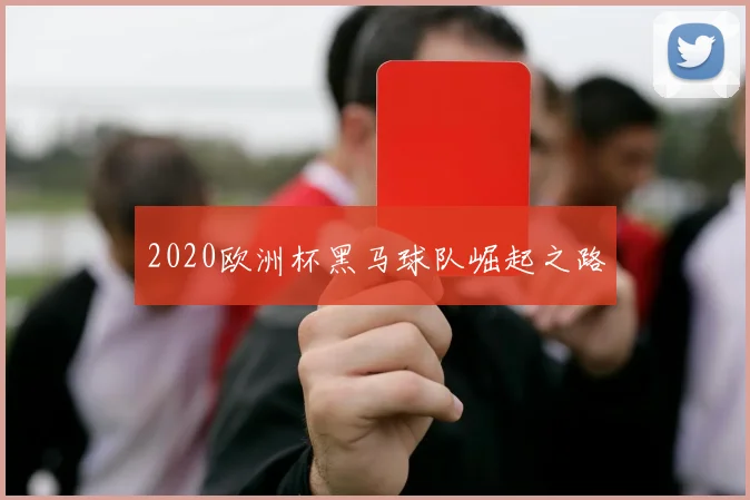 2020欧洲杯黑马球队崛起之路