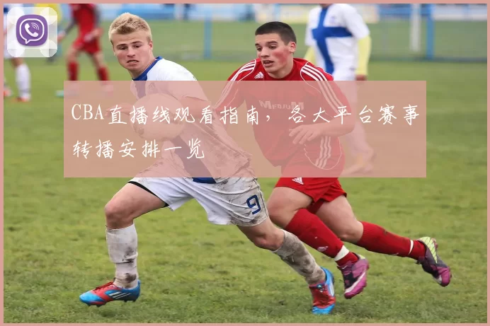 CBA直播线观看指南，各大平台赛事转播安排一览