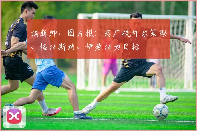 找新帅，图片报：药厂视许尔策勒、格拉斯纳、伊劳拉为目标