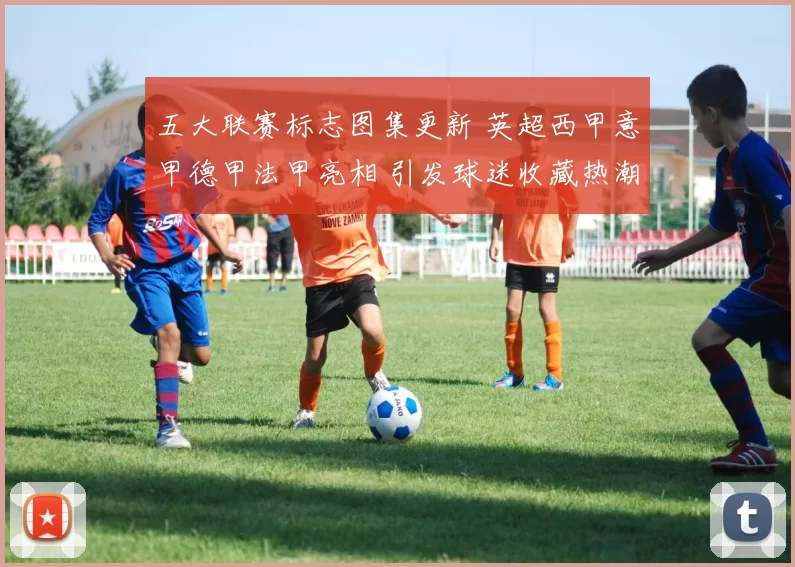 五大联赛标志图集更新 英超西甲意甲德甲法甲亮相 引发球迷收藏热潮