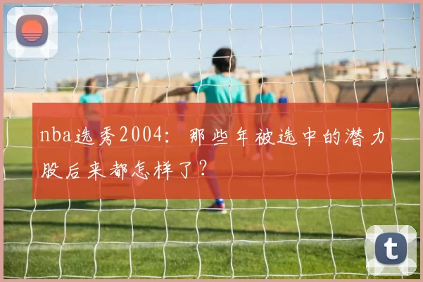 nba选秀2004：那些年被选中的潜力股后来都怎样了？
